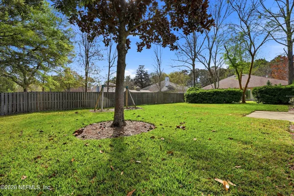a view of a garden with a tree