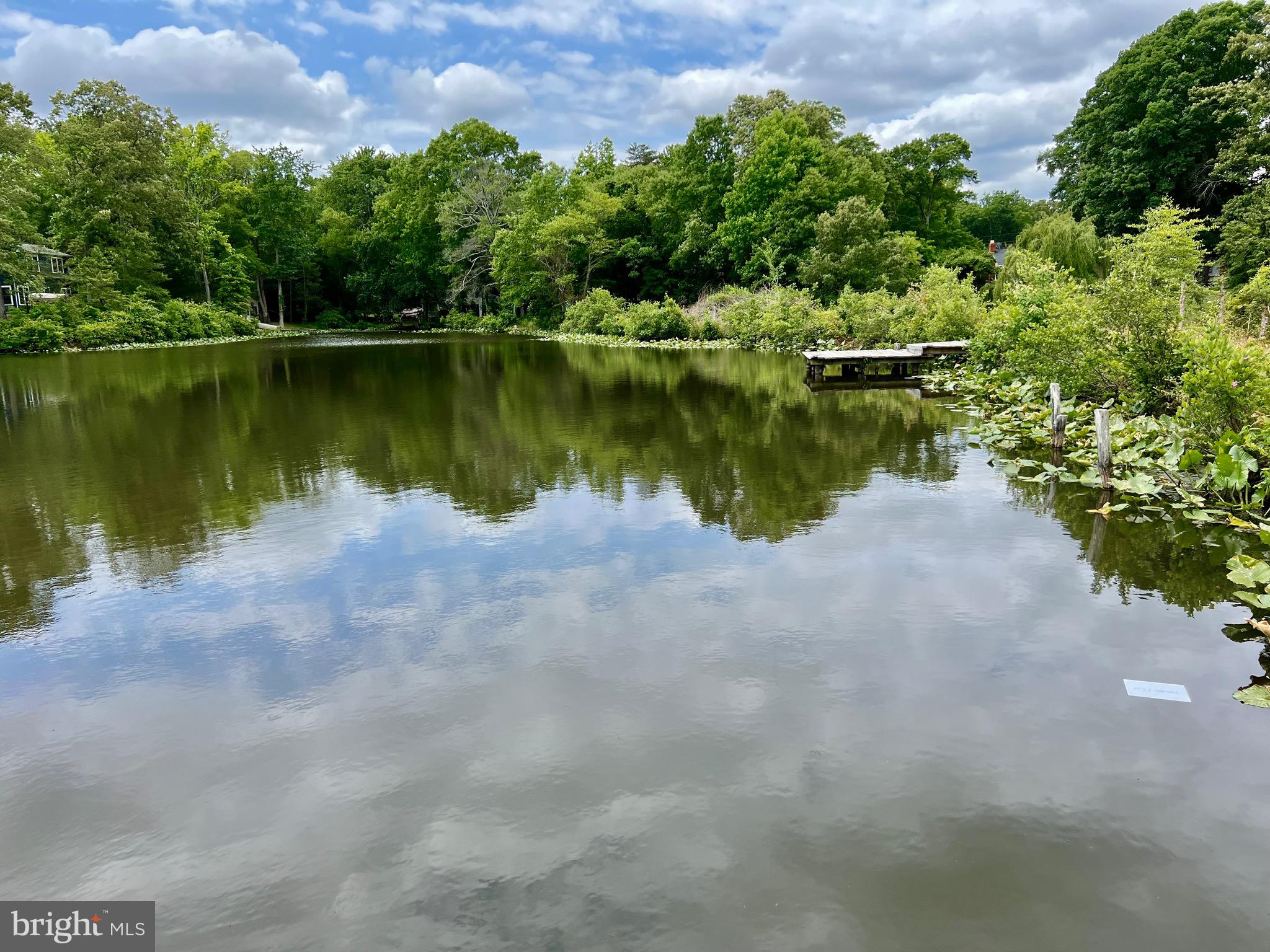 228 Dale Drive Colonial Beach, VA 22443 - Photo 55 of 59 a view of a lake with a yard and large trees