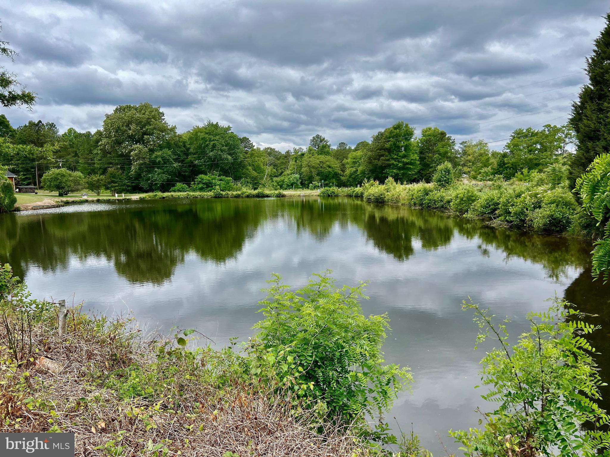 228 Dale Drive Colonial Beach, VA 22443 - Photo 57 of 59 a view of a lake with a yard and large trees