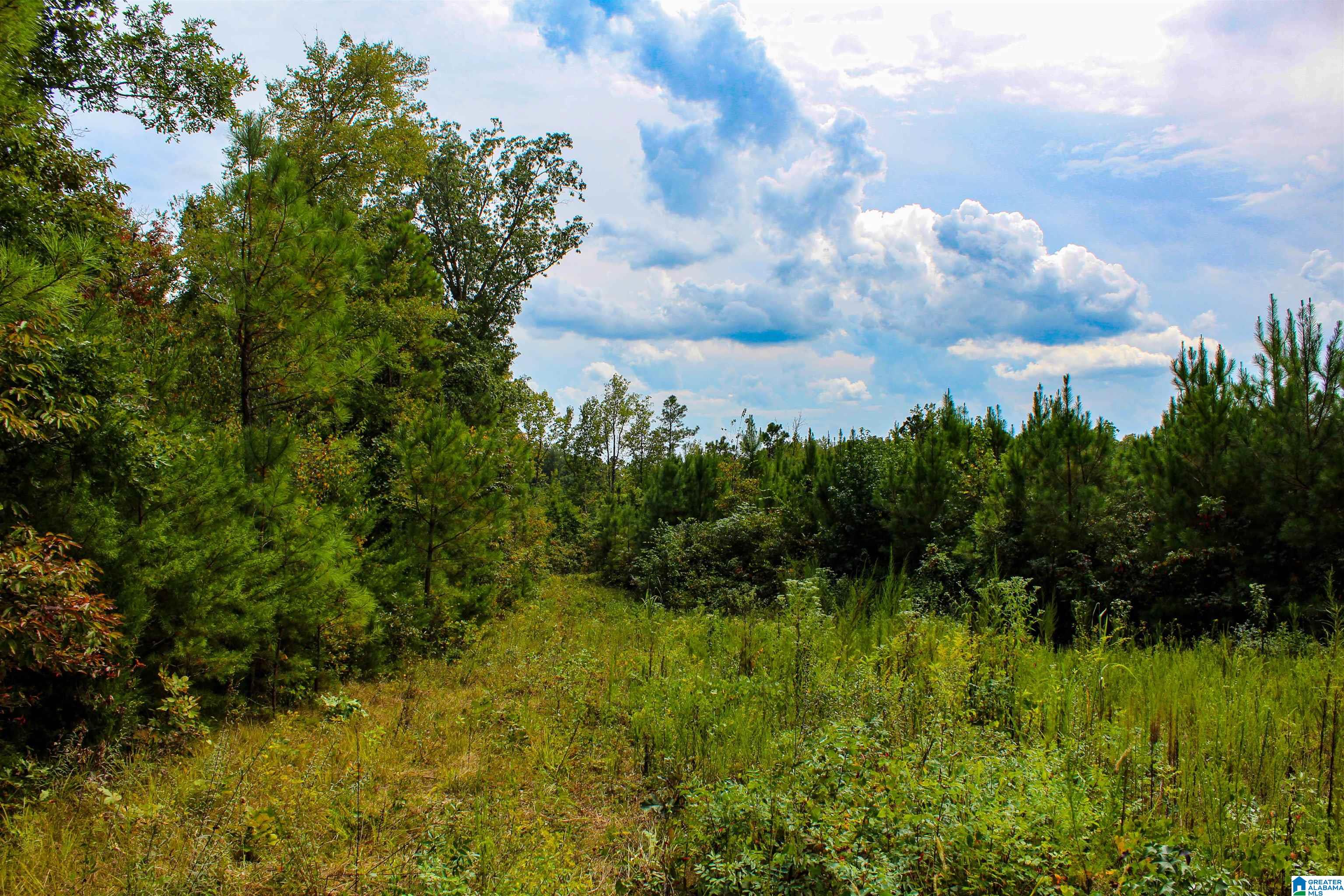 1 Highway 13, Unit 1 Berry, AL 35546 - Photo 28 of 52