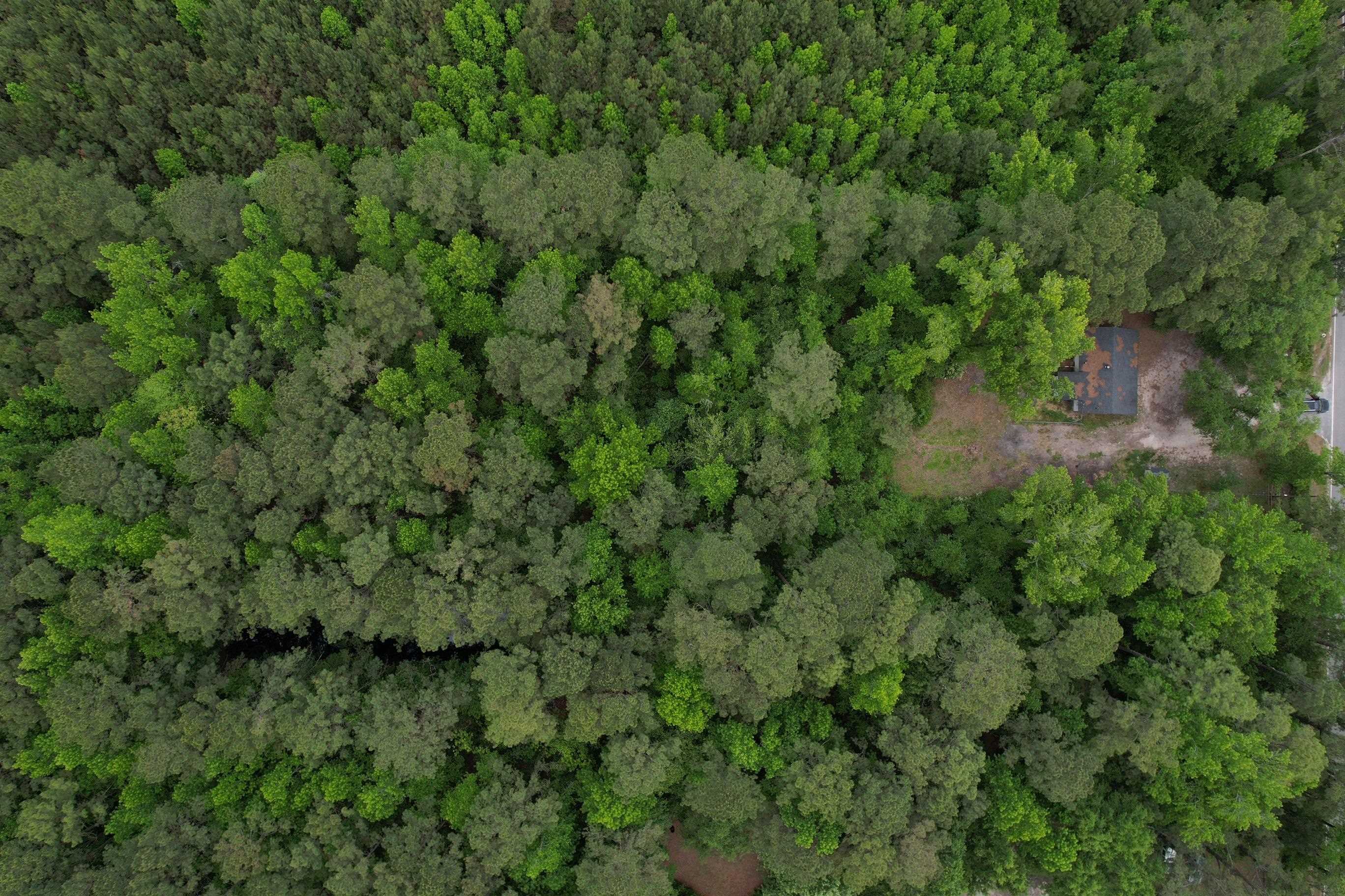 1487 Tory Hill Road Loris, SC 29569 - Photo 11 of 12