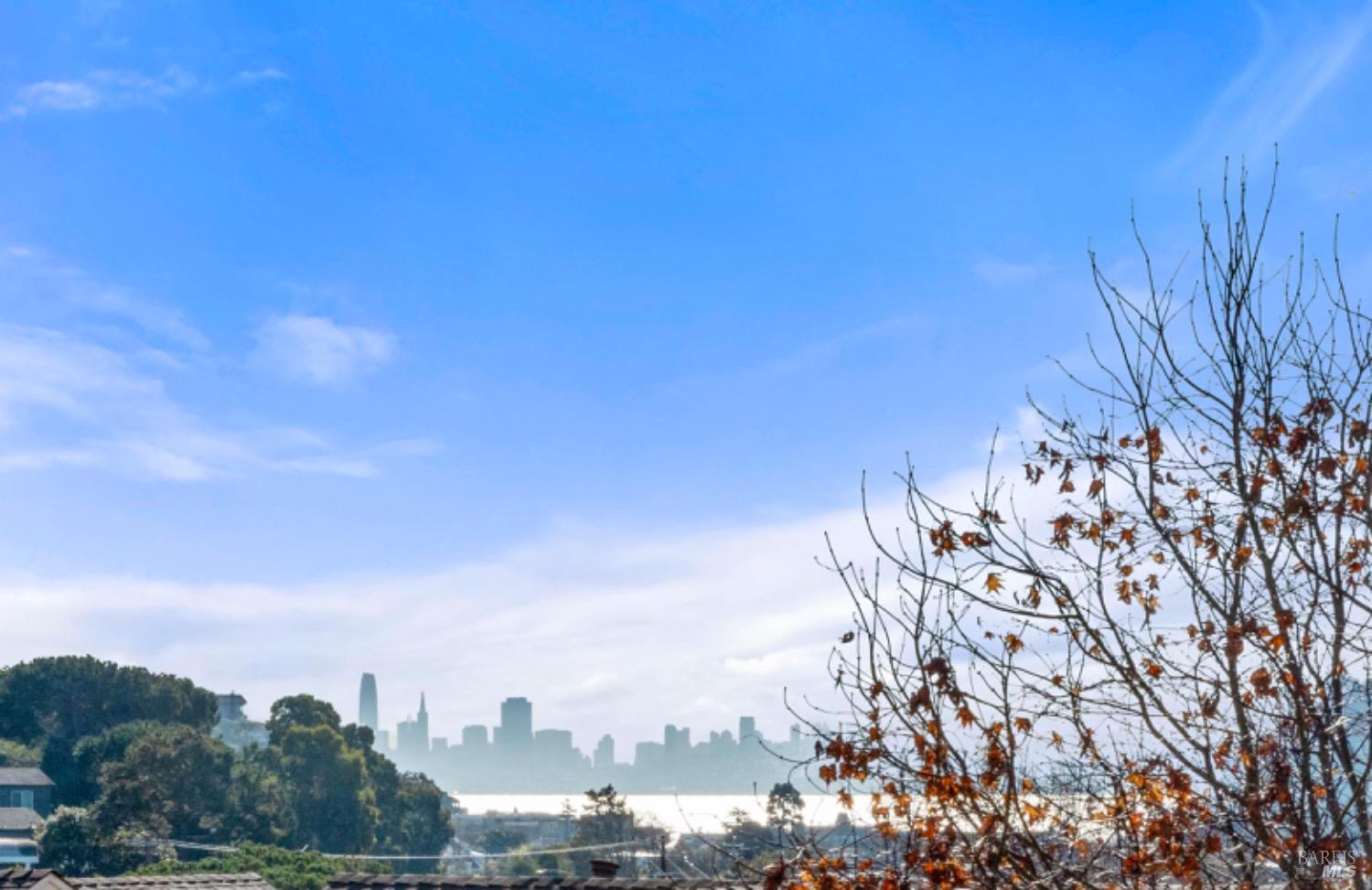 98 Ned's Way Tiburon, CA 94920 - Photo 1 of 1 a view of a city with lots of trees