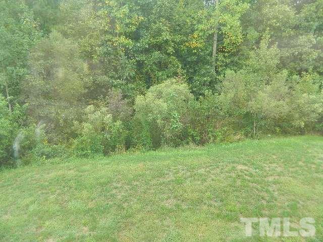 5822 Finestra Way Raleigh, NC 27610 - Photo 22 of 25 a view of a field with a trees in the background