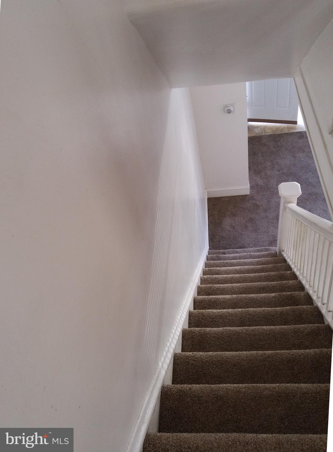 536 Hampden Road Upper Darby, PA 19082 - Photo 12 of 17 Good quality newer carpet throughout