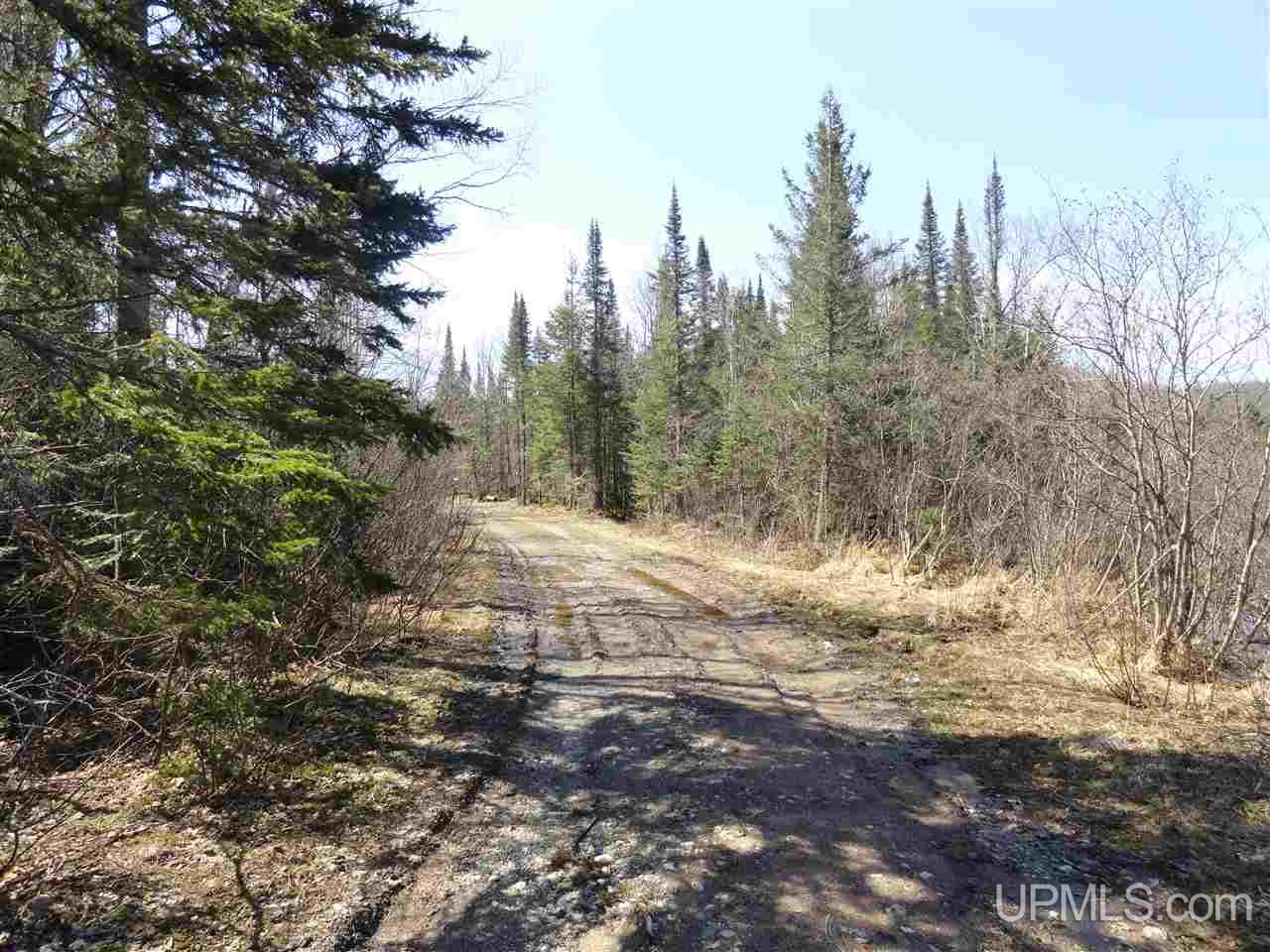 68-acres Peshekee Grade Road Skanee, MI 49861 - Photo 10 of 14