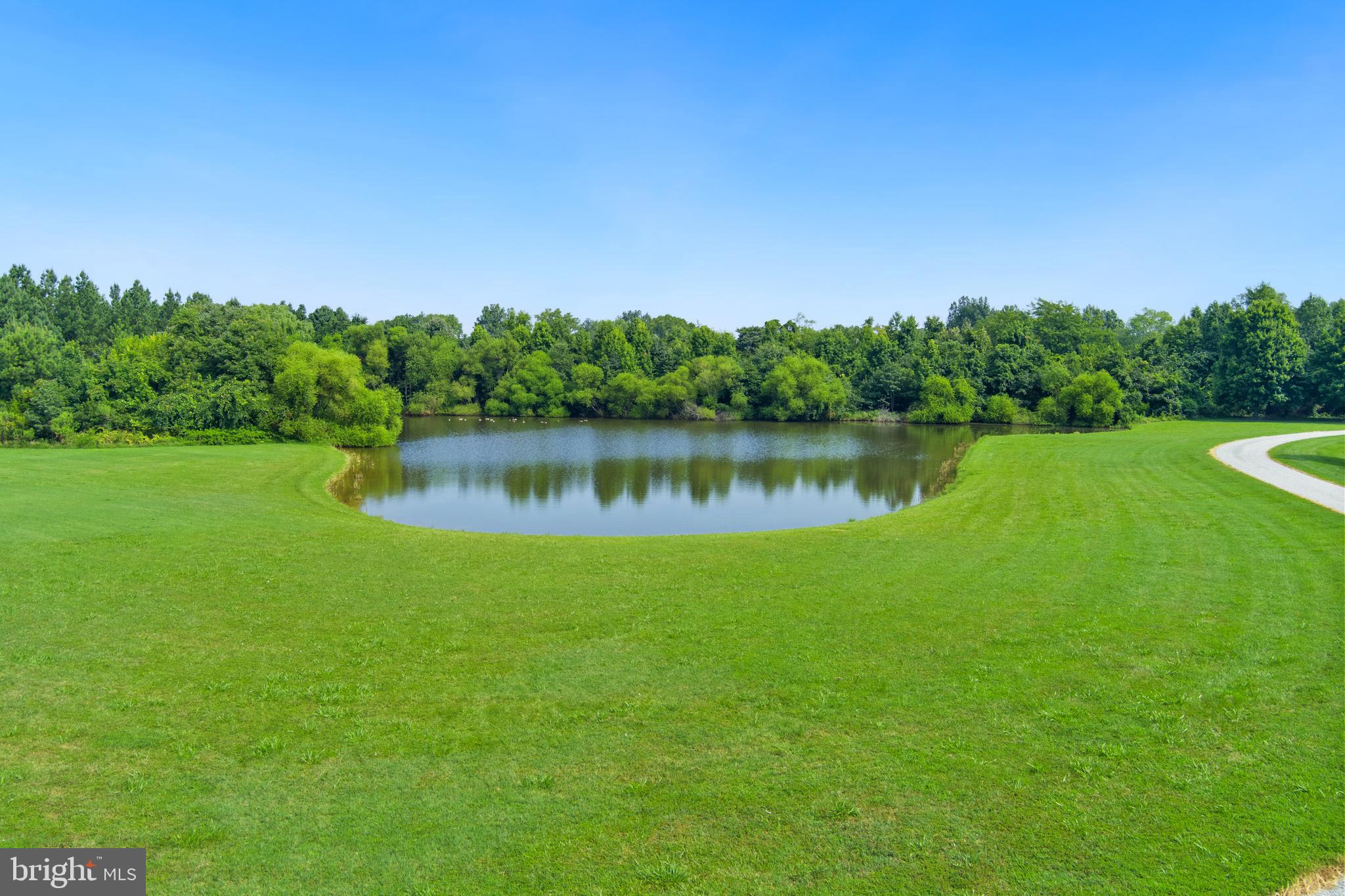 23620 Land's End Road Chestertown, MD 21620 - Photo 46 of 77 A Favorite Pond of the Wildlife