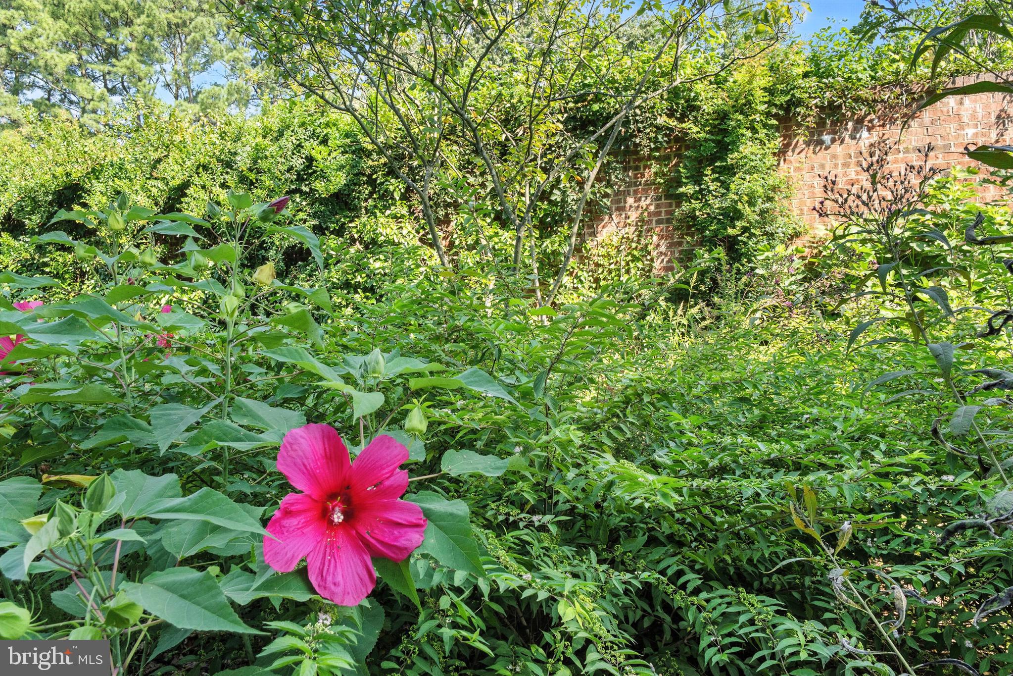 23620 Land's End Road Chestertown, MD 21620 - Photo 52 of 77 Let Me Be