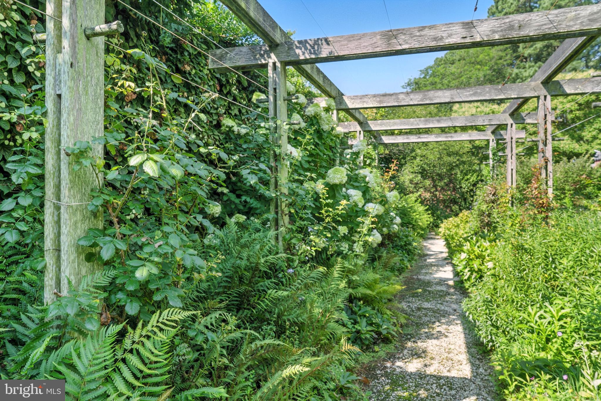 23620 Land's End Road Chestertown, MD 21620 - Photo 54 of 77