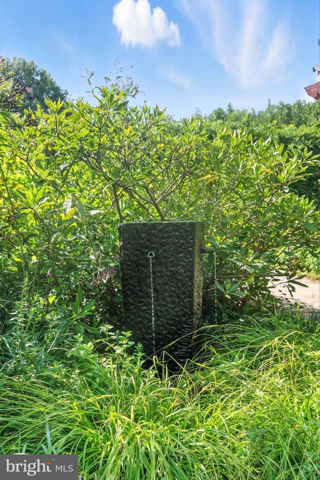 23620 Land's End Road Chestertown, MD 21620 - Photo 55 of 77 Be Still and Listen