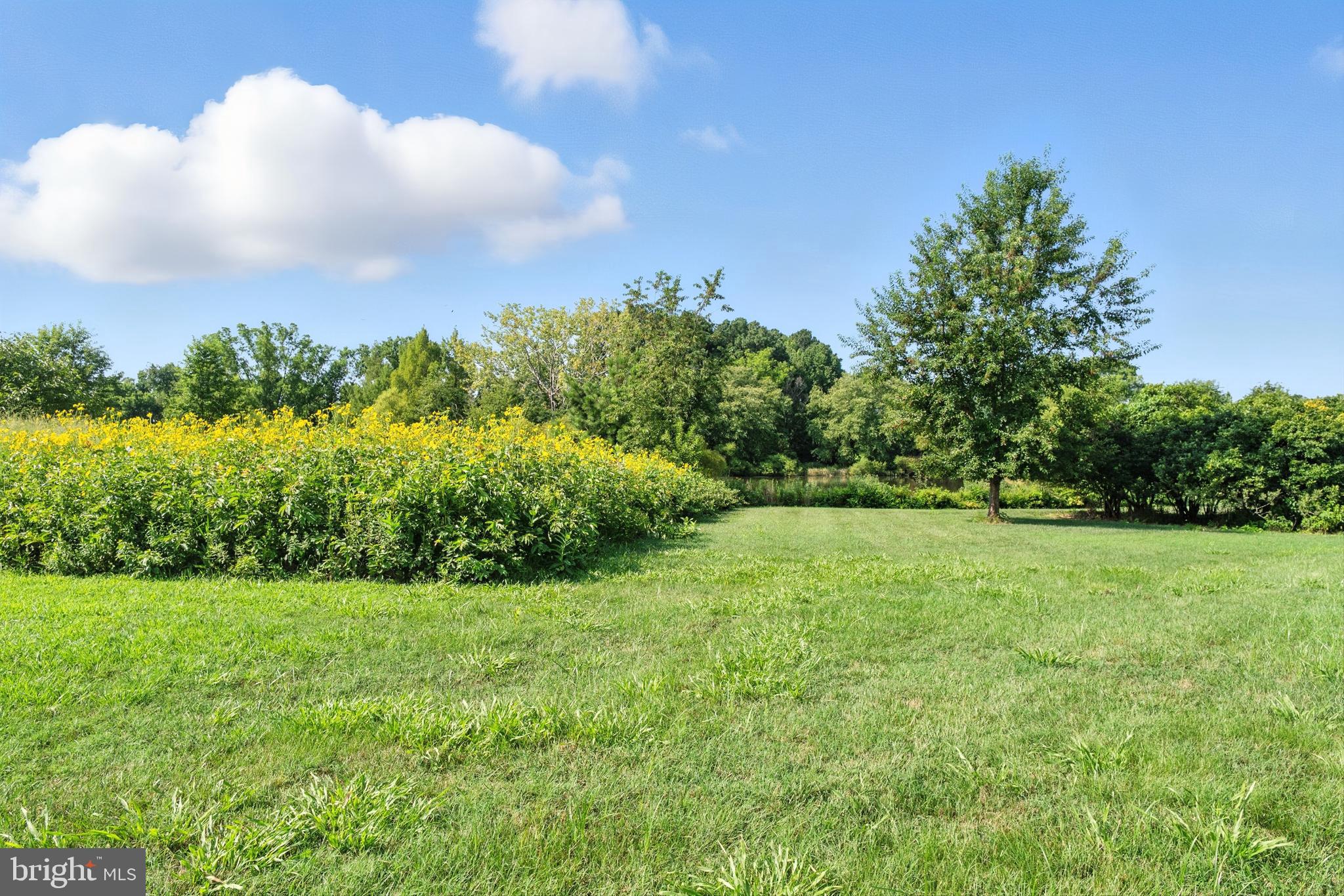 23620 Land's End Road Chestertown, MD 21620 - Photo 70 of 77
