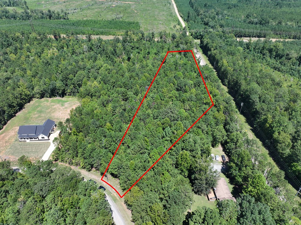 Lot 64 Spring Trail Road Box Springs, GA 31801 - Photo 5 of 5 an aerial view of residential houses with outdoor space and trees