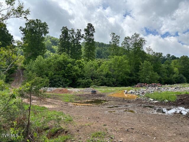 0 Ivanhoe Road Bristol, VA 24202 - Photo 2 of 4 image3 - 2025-05-21T135433.890