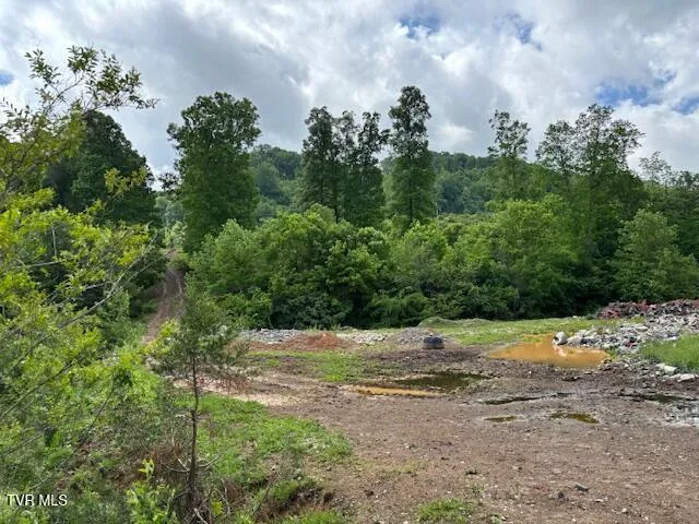 $520,000 | 0 Ivanhoe Road, Bristol, VA 24202