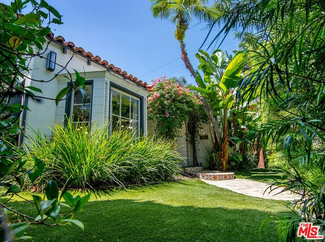 a view of a yard with plants and a large tree