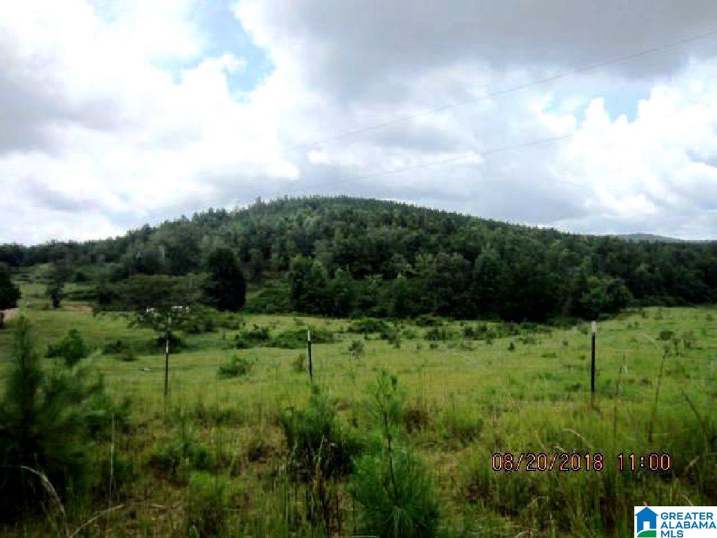796 Alawashky Road, Unit 46 ACRES Ashland, AL 36251 - Photo 15 of 17