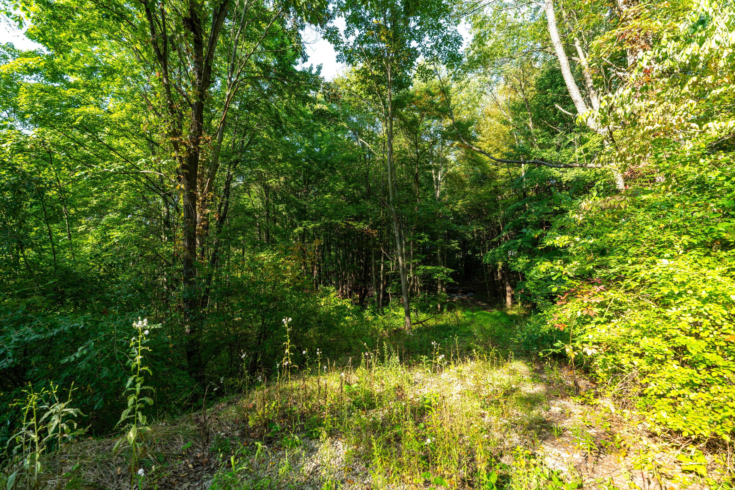 9582 West R Avenue Mattawan, MI 49071 - Photo 9 of 14 DSC06505