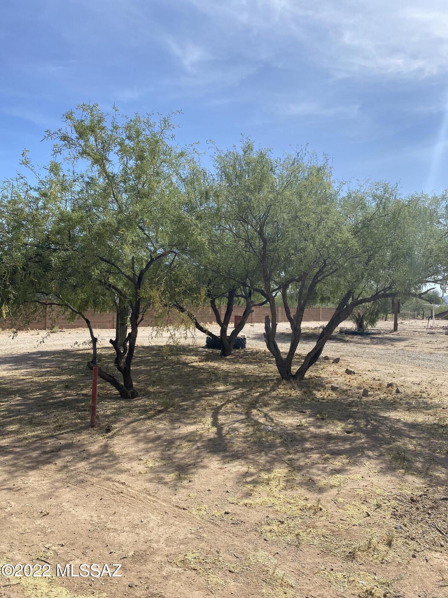 12465 North Derringer Road, Unit 1 Marana, AZ 85653 - Photo 13 of 21 Gallery Image 13