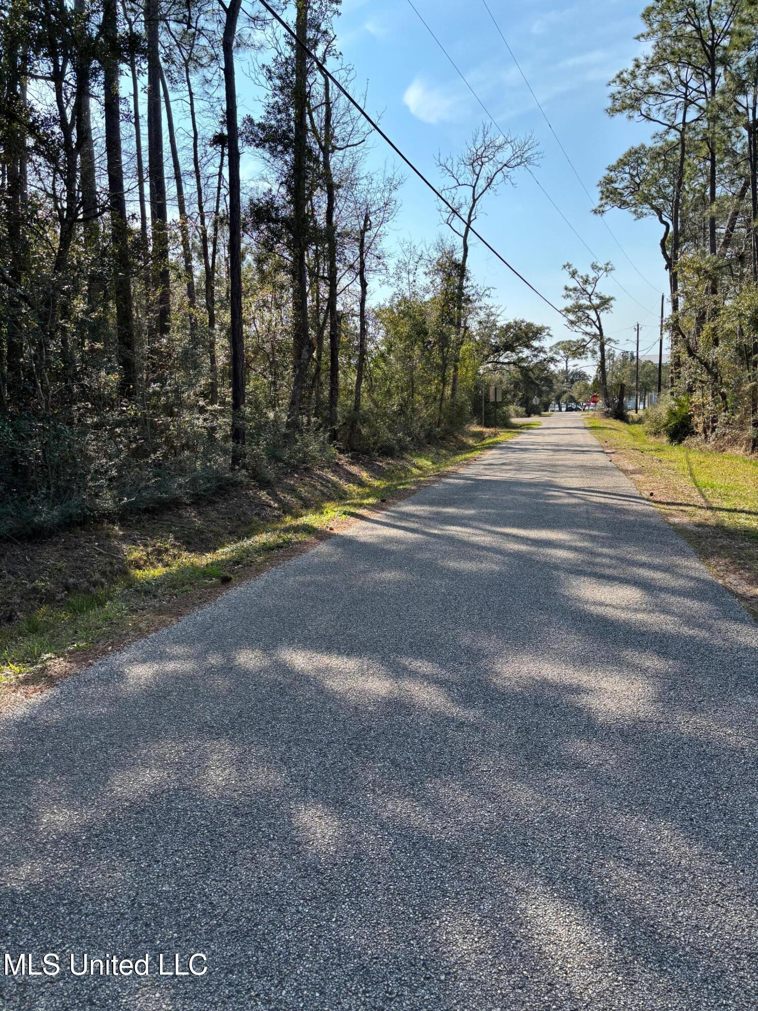 Audubon Ln Pass Pass Christian, MS 39571 - Photo 2 of 4 Audubon
