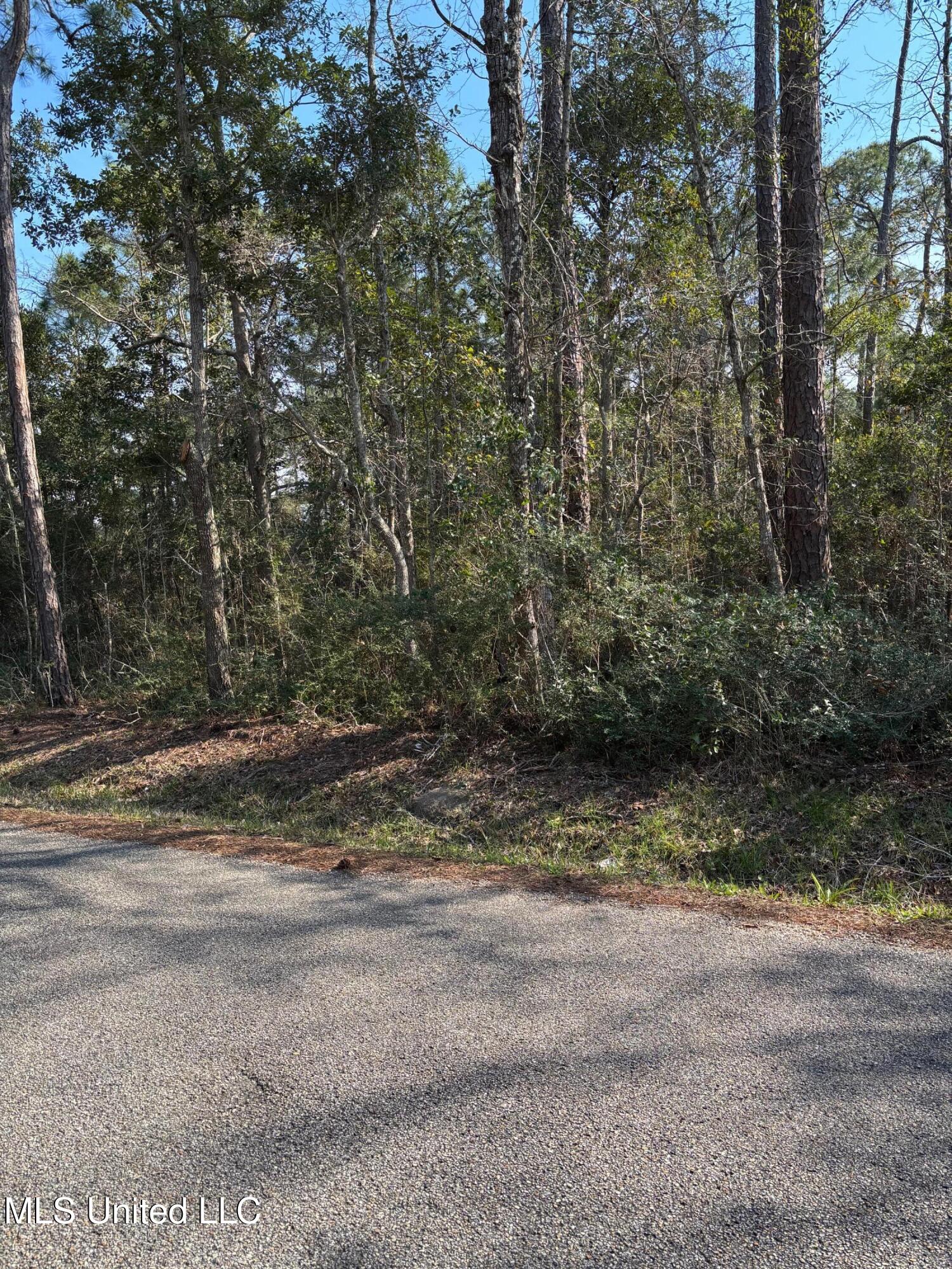 Audubon Ln Pass Pass Christian, MS 39571 - Photo 3 of 4 Audubon