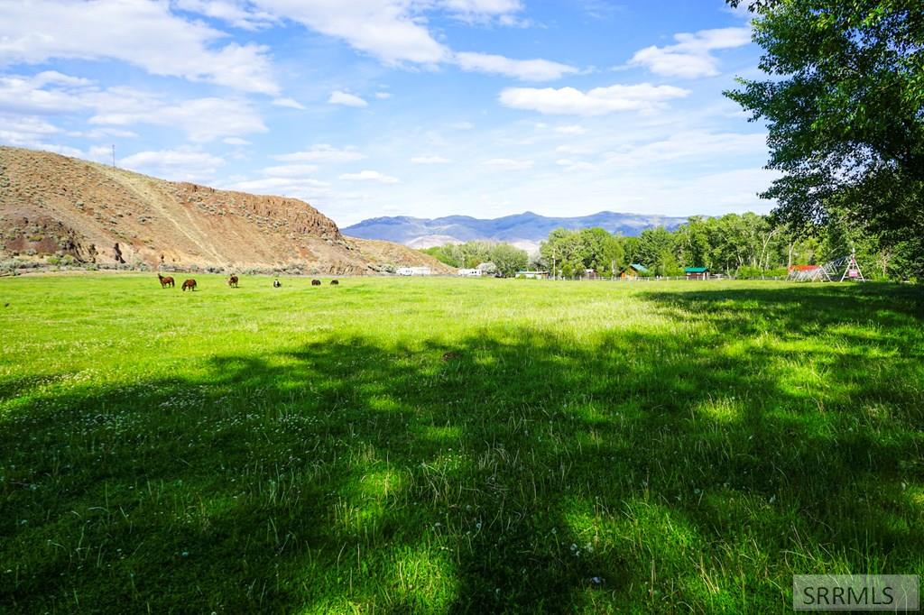 5479 Challis Creek Road Challis, ID 83226 - Photo 31 of 41