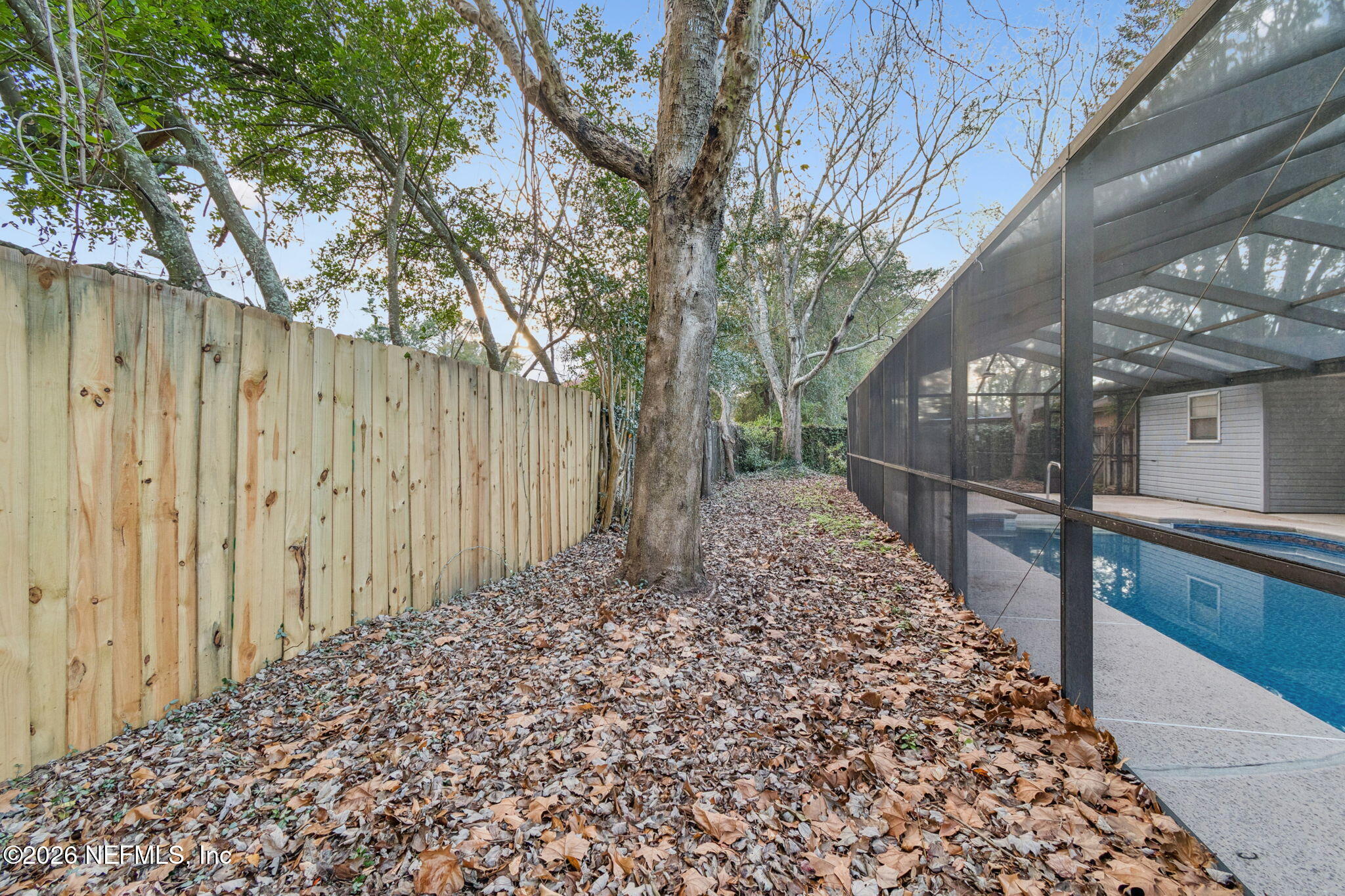 8234 Frost Street South Jacksonville, FL 32221 - Photo 56 of 65 a view of a backyard