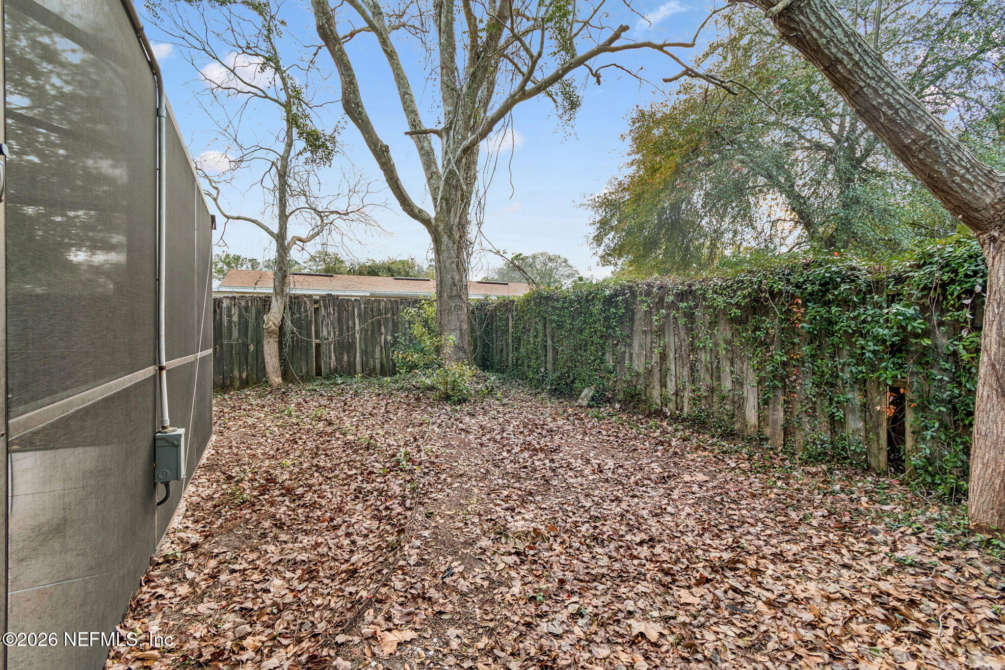 8234 Frost Street South Jacksonville, FL 32221 - Photo 59 of 65 a backyard of a house with lots of green space