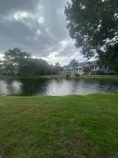 a view of a green yard