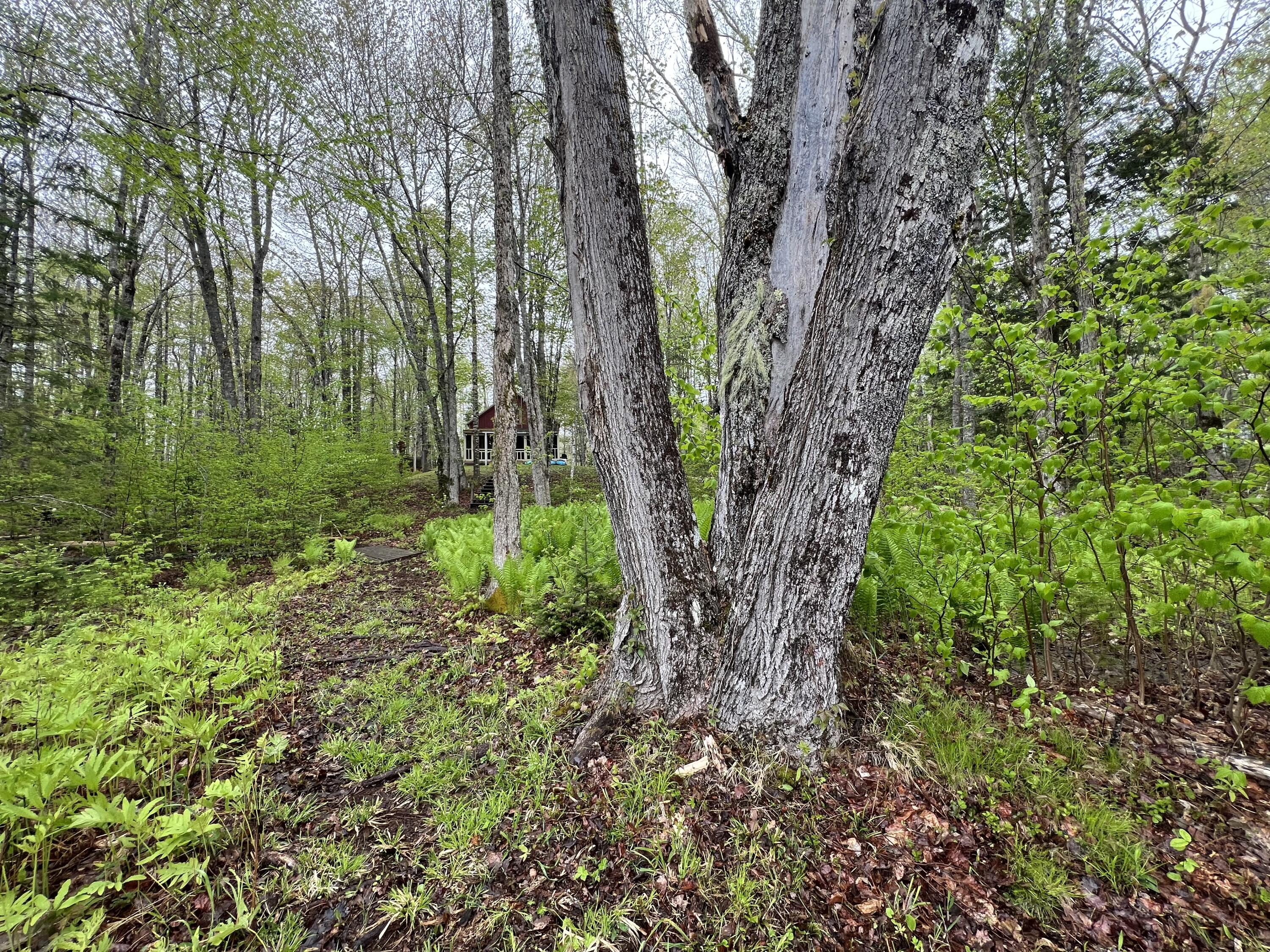 2 Union River Road Ellsworth, ME 04605 - Photo 53 of 59 54
