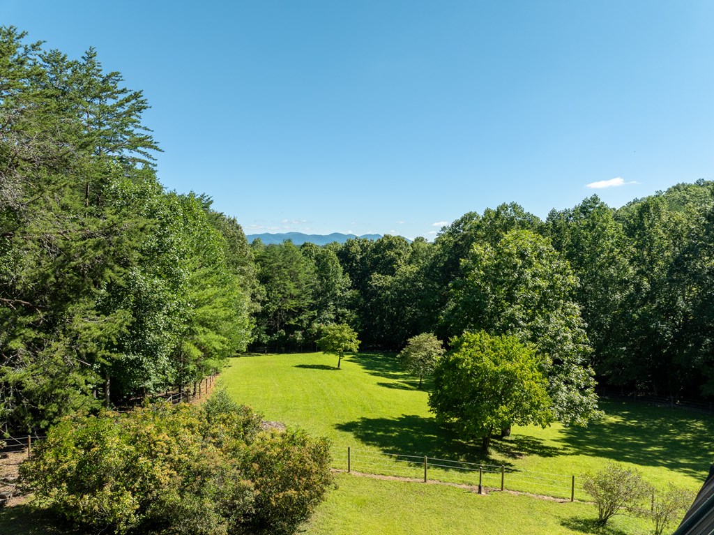 998 Hamilton Road Blairsville, GA 30512 - Photo 22 of 93 Gallery Image 22