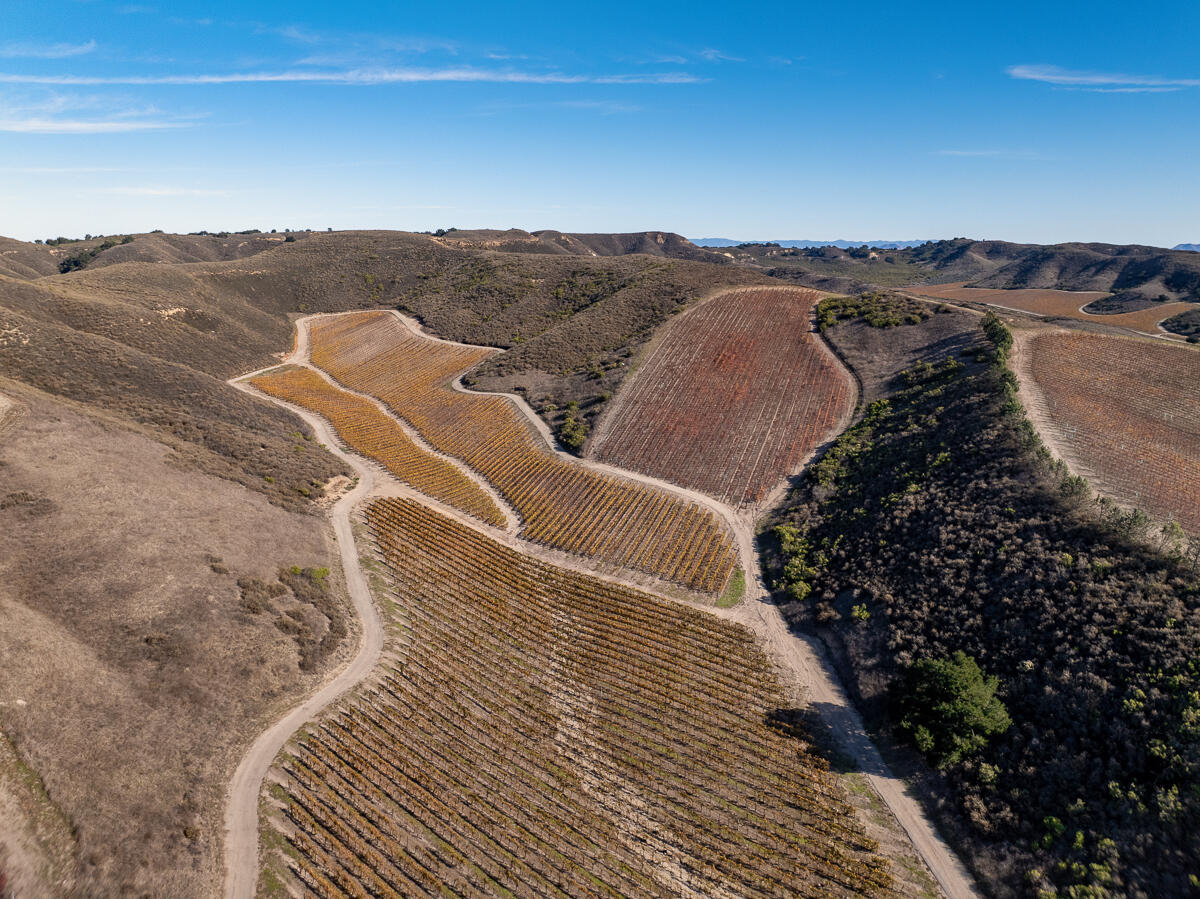 7455 Palmer Road Santa Maria, CA 93454 - Photo 6 of 27 Loma Verde Web-06