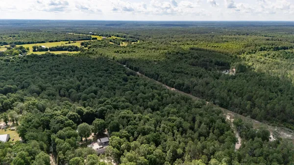 a view of a forest with a forest