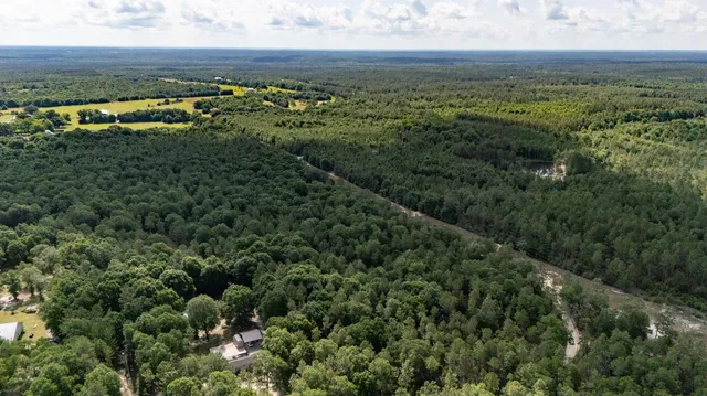 a view of a forest with a forest