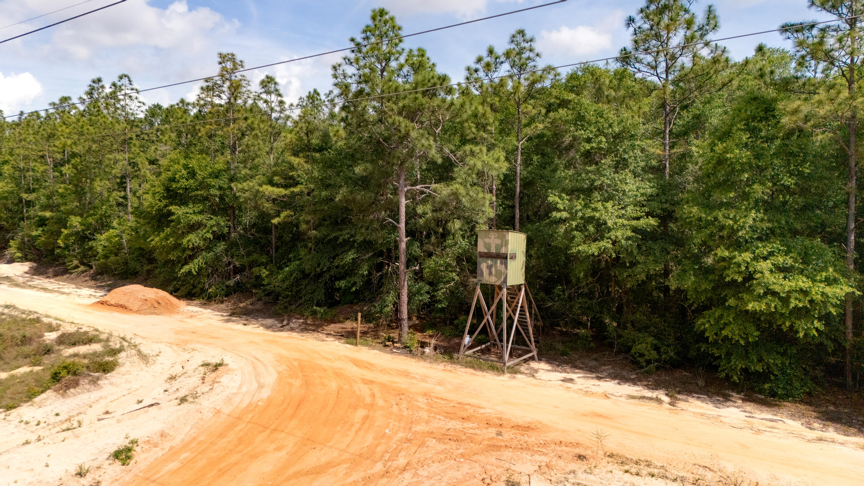 0 Homestead Road Baker, FL 32531 - Photo 17 of 30 a view of a backyard of the house