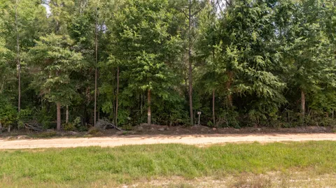 a view of a yard with plants and trees