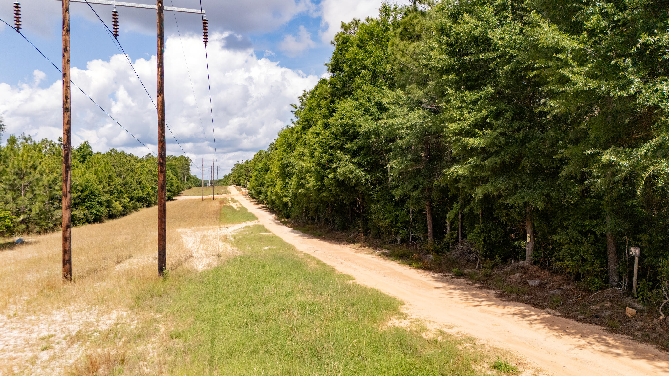 0 Homestead Road Baker, FL 32531 - Photo 20 of 30 a view of yard