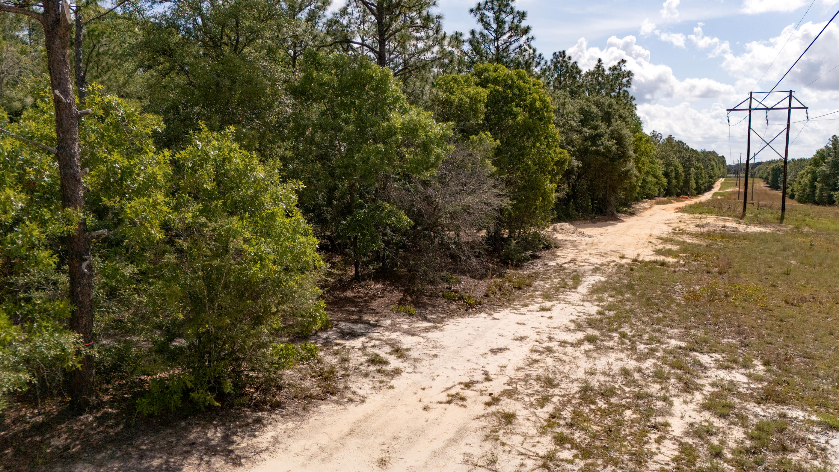 0 Homestead Road Baker, FL 32531 - Photo 21 of 30 a view of a yard with plants and trees