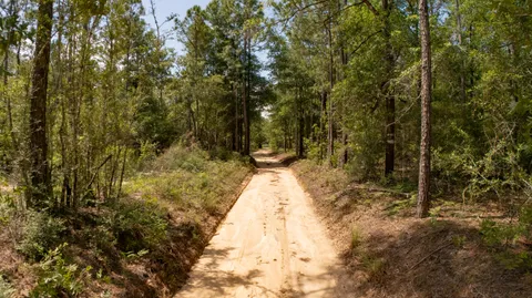 a view of swimming pool from a balcony