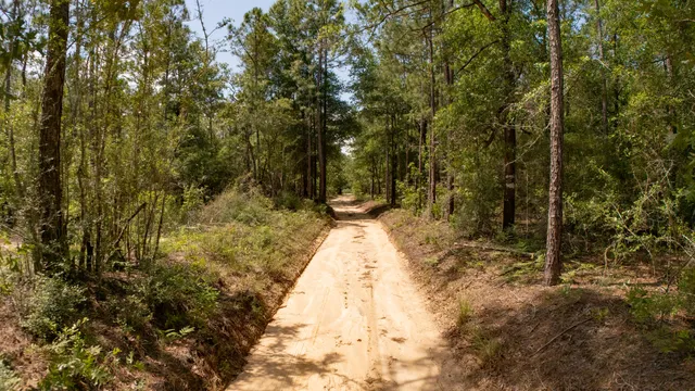 a view of swimming pool from a balcony