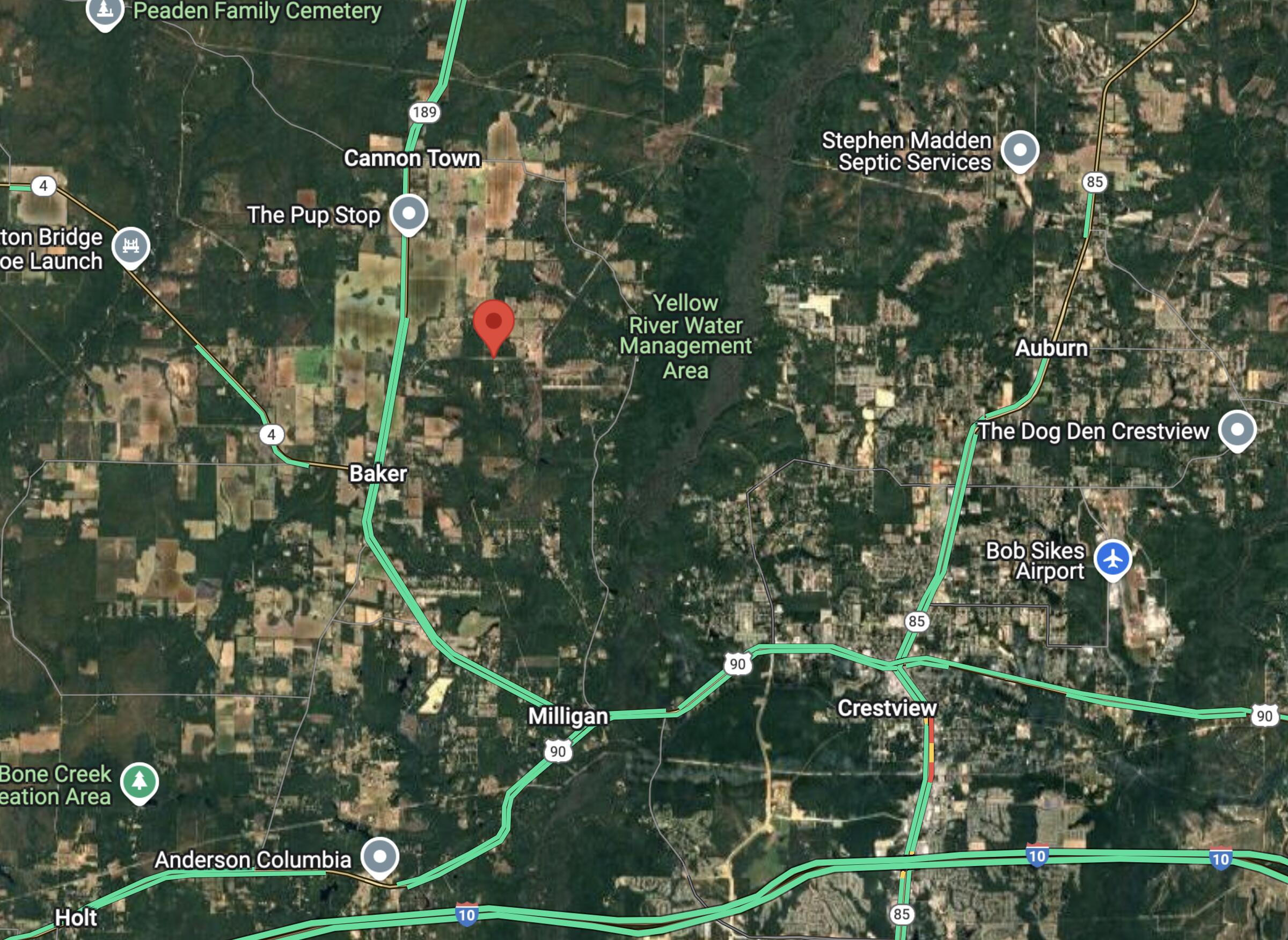 0 Homestead Road Baker, FL 32531 - Photo 5 of 30 a view of a tree