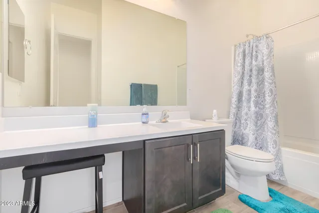 a bathroom with a double vanity sink toilet and a mirror