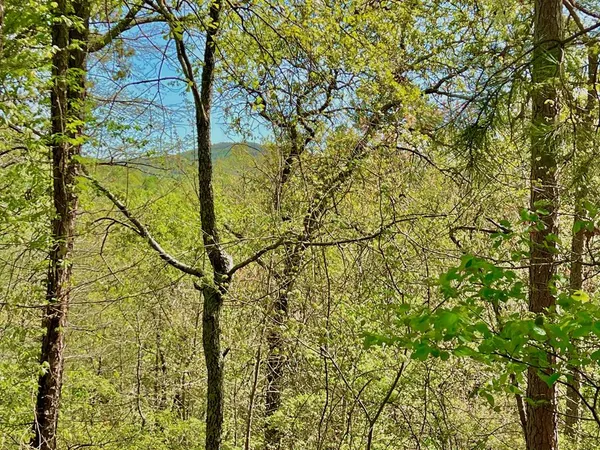$25,000 | 694 Railey Ridge, Ranger, GA 30734
