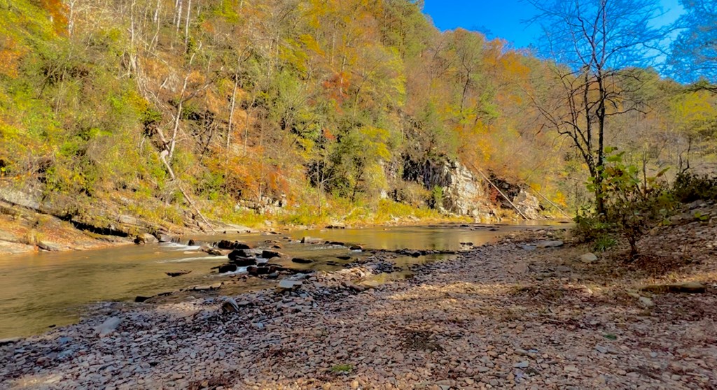 694 Railey Ridge Ranger, GA 30734 - Photo 11 of 27