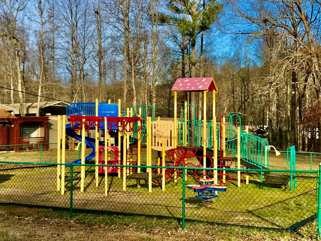 694 Railey Ridge Ranger, GA 30734 - Photo 12 of 27