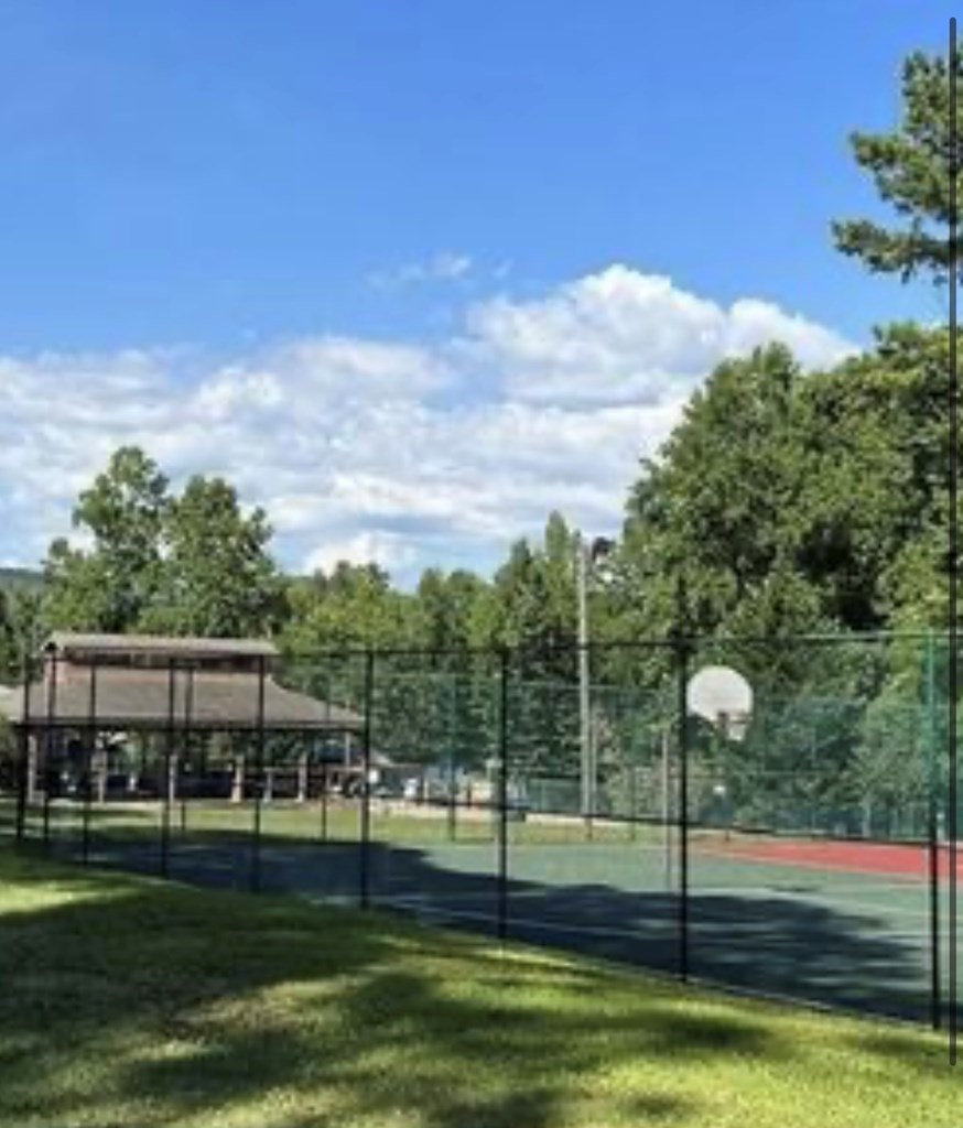 694 Railey Ridge Ranger, GA 30734 - Photo 15 of 27