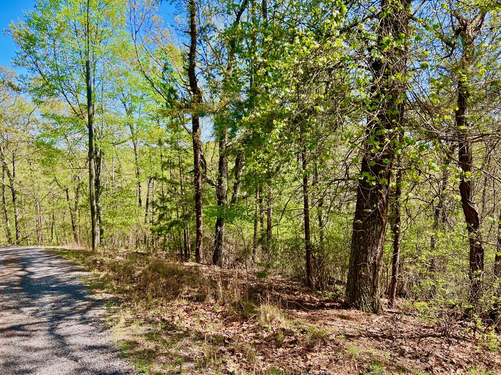 694 Railey Ridge Ranger, GA 30734 - Photo 18 of 27