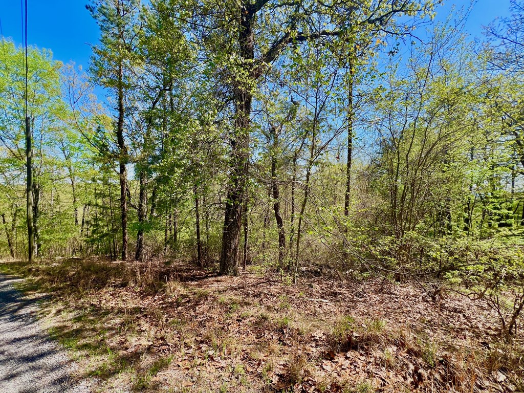 694 Railey Ridge Ranger, GA 30734 - Photo 19 of 27