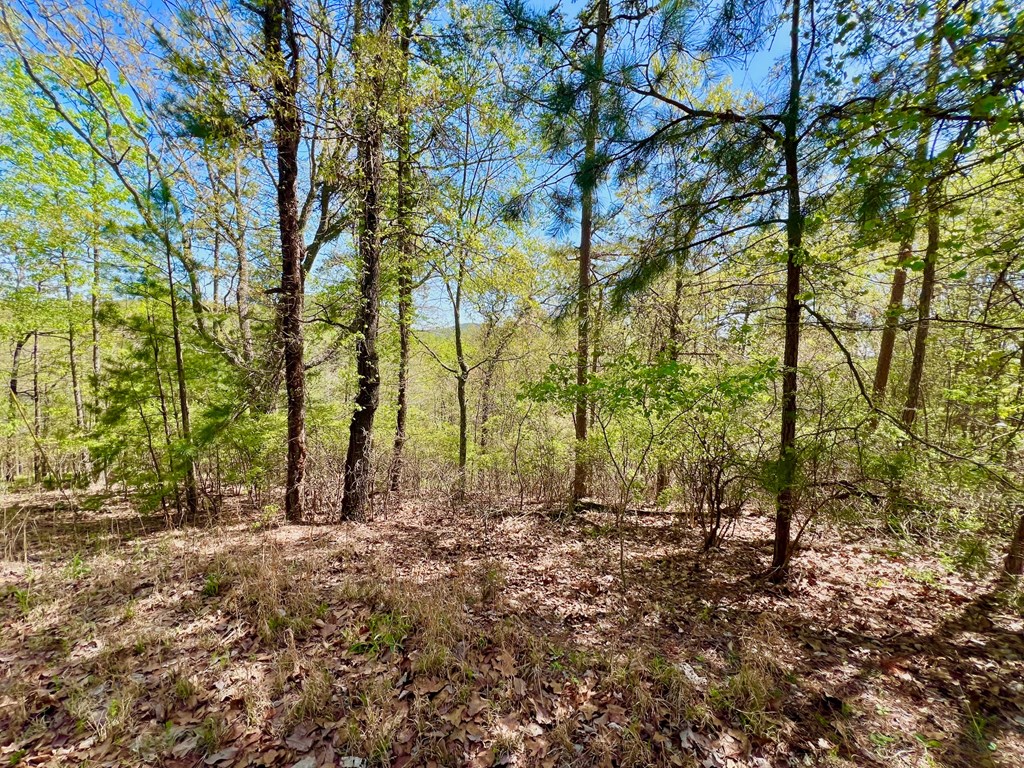 694 Railey Ridge Ranger, GA 30734 - Photo 20 of 27