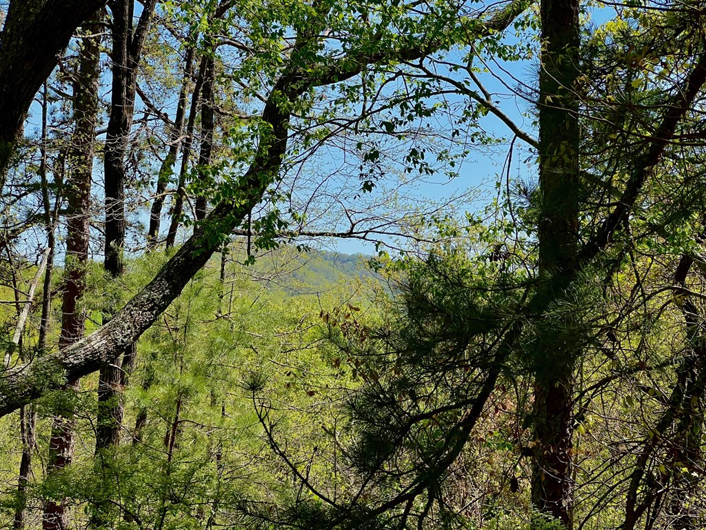 694 Railey Ridge Ranger, GA 30734 - Photo 2 of 27