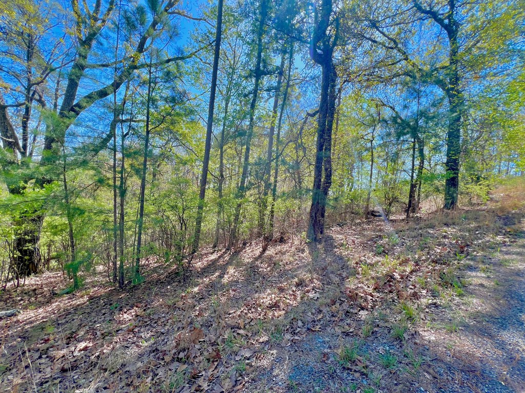 694 Railey Ridge Ranger, GA 30734 - Photo 21 of 27