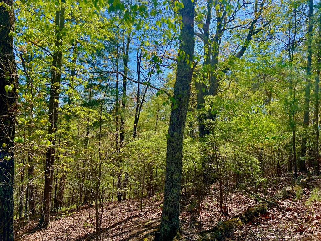 694 Railey Ridge Ranger, GA 30734 - Photo 22 of 27